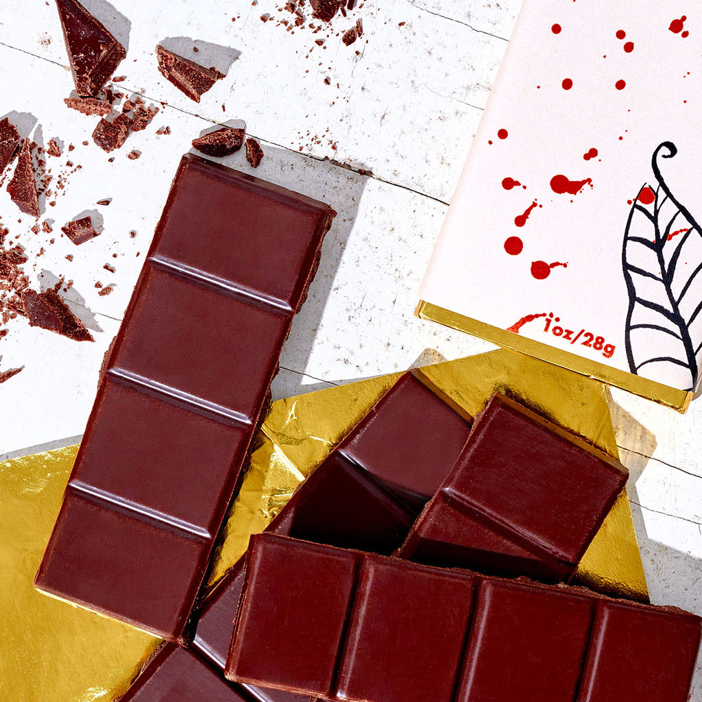 Sea Salt Chocolate Bar (Valentines) by Fine & Raw