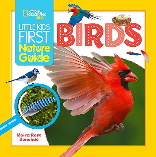 Little Kids First Nature Guide (Birds) by Tinies Books