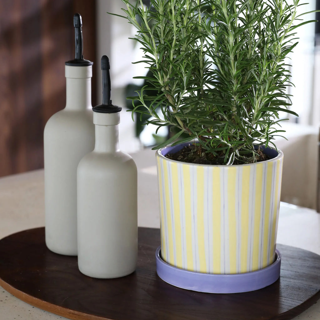 Ray Planter (Yellow) by &klevering
