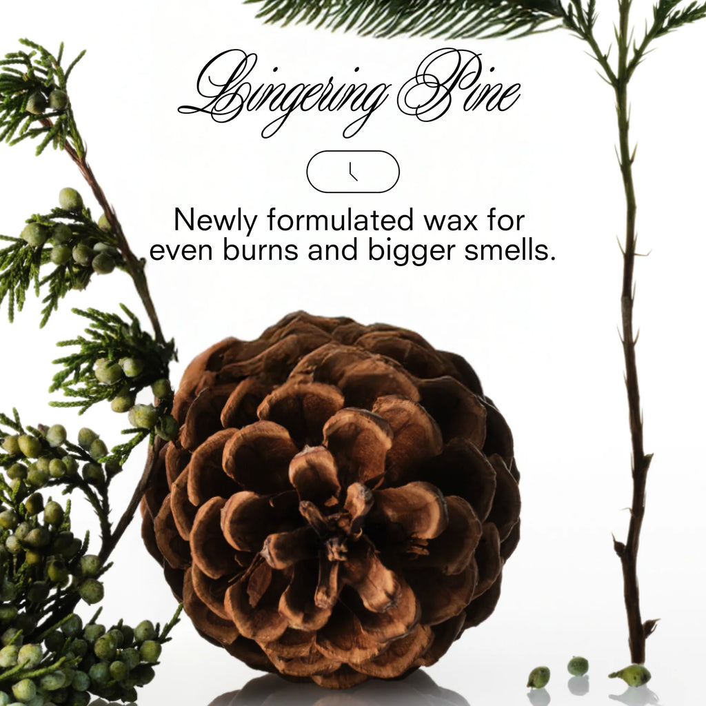 Holiday Xxmas Tree Candle (8.5 oz) by Boy Smells