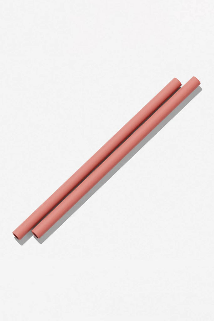 Silicone Straws 2 Pack (Clay) by Bink